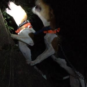 Meet your Posher, Dalton